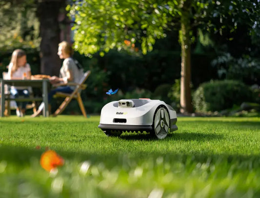 Why We Believe Sustainability Should Start in Your Backyard