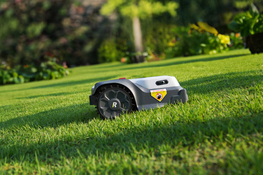 Have you been overspending on your garden lately?