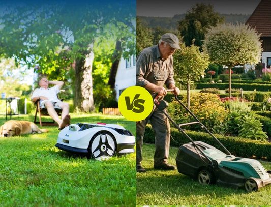 A Gift That Keeps Your Parents Safe From Lawn Hazards This Christmas