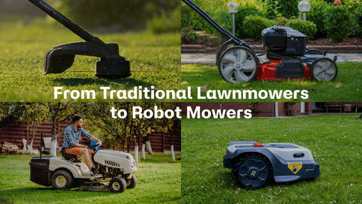 traditional lawnmowers