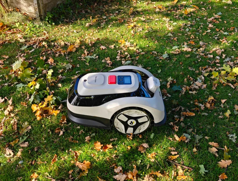 Fall Lawn Care Guide: 8 Things to Do Before Winter