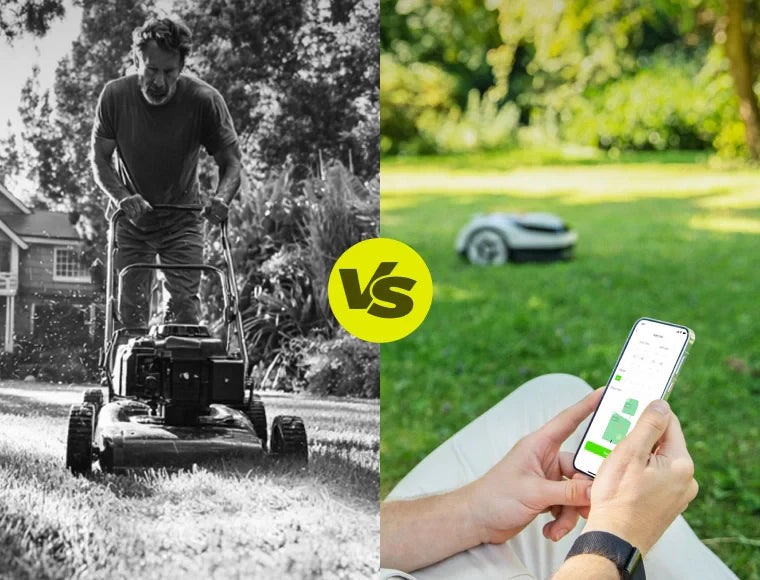 HDblog Reviews Raccoon 2 SE: A Wire-Free Robot Mower Focused on Simplicity and Value