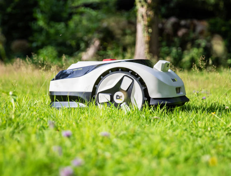 Handyhase Reviews the RoboUP Raccoon 2 SE: A Breakthrough Budget-Friendly, Wire-Free Robot Mower Under €500
