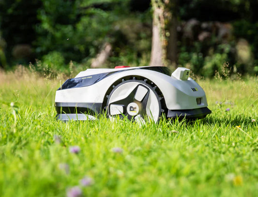 Handyhase Reviews the RoboUP Raccoon 2 SE: A Breakthrough Budget-Friendly, Wire-Free Robot Mower Under €500
