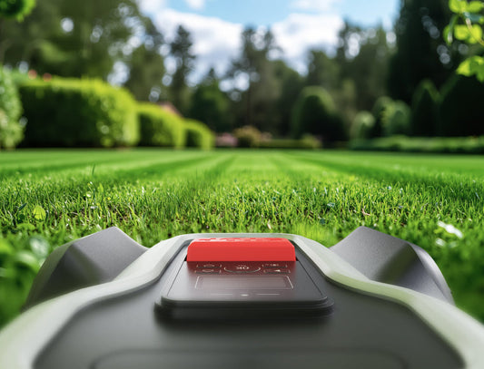 TM01 Series 2025 Unveiled: The Future Is Here!