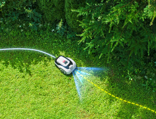 Raccoon 2 SE: It Only Takes One Button to Map, Mow, and Recharge Automatically