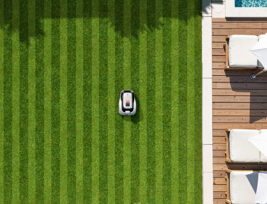 Raccoon 2 SE: Learn How Target Area Mowing Lets You Mow Stripes Instantly Without Mapping