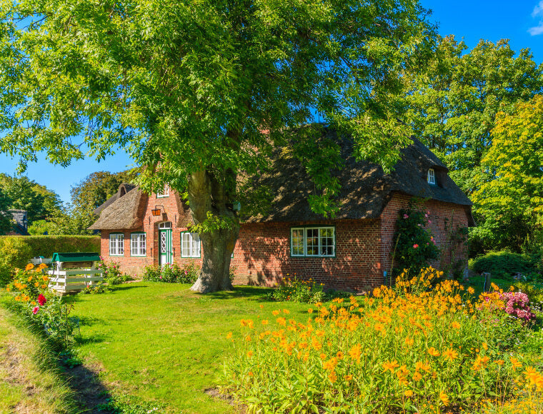 The Secret to Hassle-Free Lawns in the US