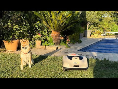 Load video: Hands-on review of the RoboUP Raccoon 2 SE by iVax — from unboxing and setup to full mowing performance. See how it handles the lawn.